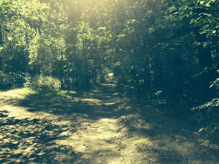 Koniec grudnia, czas na małe podsumowanie... 2 Pan Artur - Koniec grudnia, czas na małe podsumowanie...