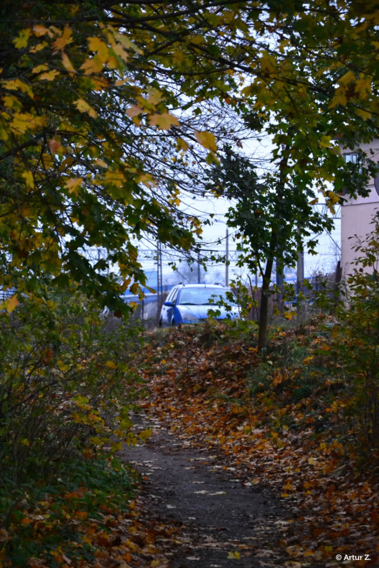 Jesień o poranku. Na Mazurach. 4 Pan Artur - Jesień o poranku. Na Mazurach.