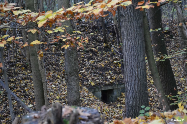 Jesień o poranku. Na Mazurach. 13 Pan Artur - Jesień o poranku. Na Mazurach.