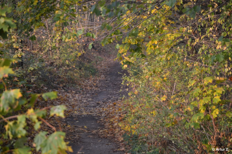 Koniec grudnia, czas na małe podsumowanie... 3 Pan Artur - Koniec grudnia, czas na małe podsumowanie...