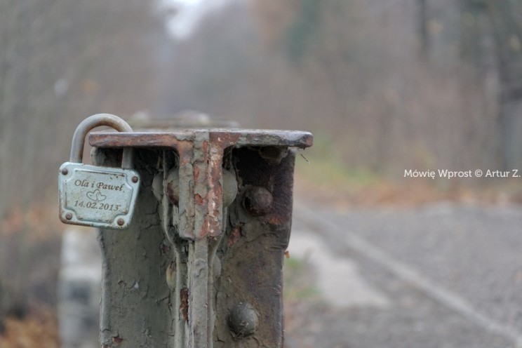 Pan Artur - 25 kilometrów leśnej podróży. Ostróda - Miłomłyn - Piławki - Ostróda :)