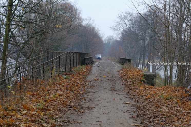 Pan Artur - 25 kilometrów leśnej podróży. Ostróda - Miłomłyn - Piławki - Ostróda :)