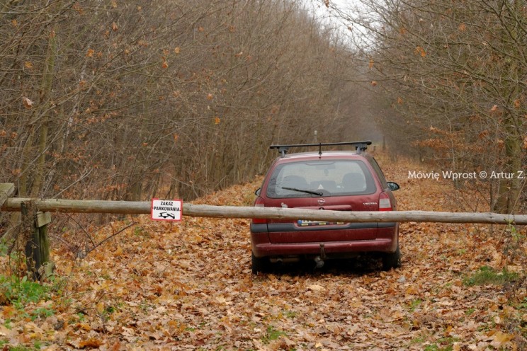 Pan Artur - 25 kilometrów leśnej podróży. Ostróda - Miłomłyn - Piławki - Ostróda :)