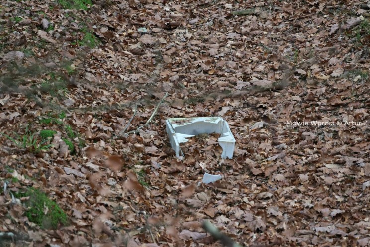 Pan Artur - 25 kilometrów leśnej podróży. Ostróda - Miłomłyn - Piławki - Ostróda :)