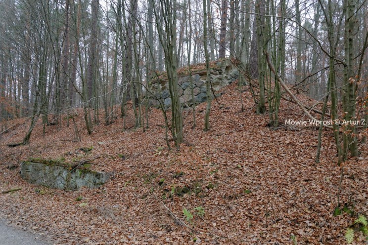 Pan Artur - 25 kilometrów leśnej podróży. Ostróda - Miłomłyn - Piławki - Ostróda :)