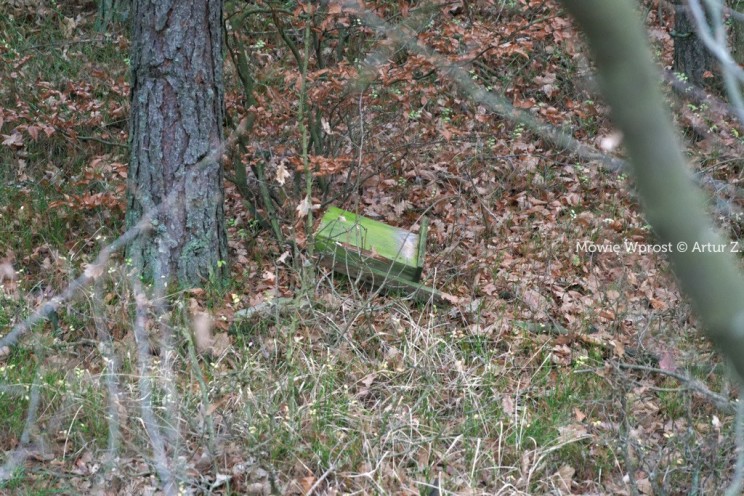 Pan Artur - 25 kilometrów leśnej podróży. Ostróda - Miłomłyn - Piławki - Ostróda :)