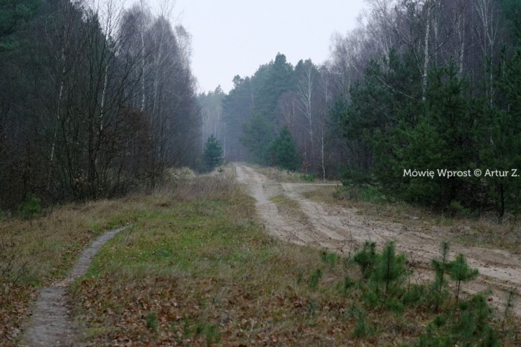 Pan Artur - 25 kilometrów leśnej podróży. Ostróda - Miłomłyn - Piławki - Ostróda :)