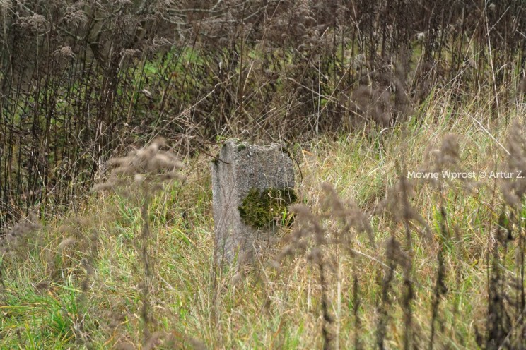 Pan Artur - 25 kilometrów leśnej podróży. Ostróda - Miłomłyn - Piławki - Ostróda :)