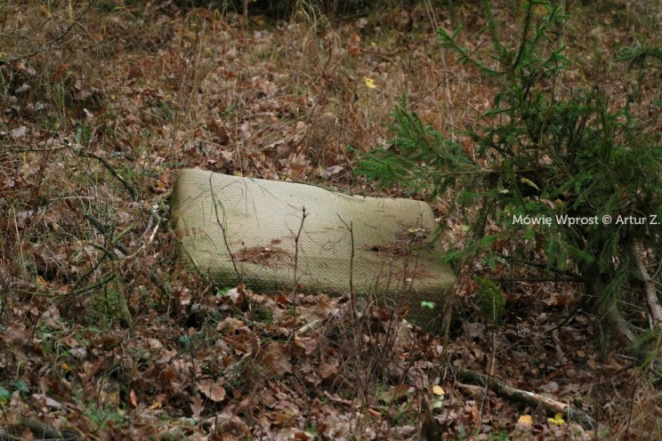 Pan Artur - 25 kilometrów leśnej podróży. Ostróda - Miłomłyn - Piławki - Ostróda :)