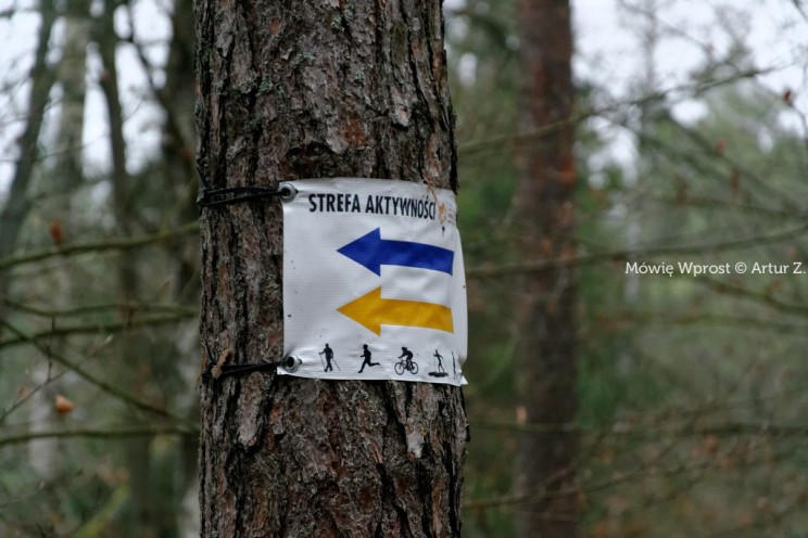 Pan Artur - 25 kilometrów leśnej podróży. Ostróda - Miłomłyn - Piławki - Ostróda :)