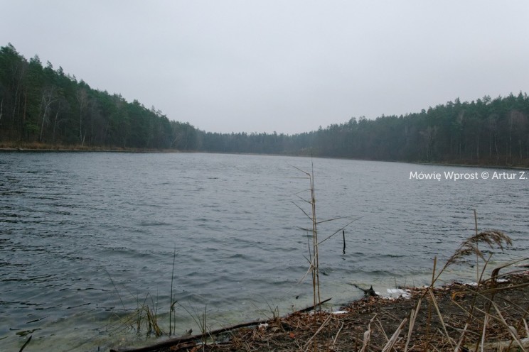 Pan Artur - 25 kilometrów leśnej podróży. Ostróda - Miłomłyn - Piławki - Ostróda :)