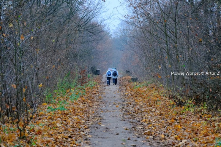 Pan Artur - 25 kilometrów leśnej podróży. Ostróda - Miłomłyn - Piławki - Ostróda :)