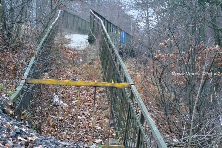 Pan Artur - 25 kilometrów leśnej podróży. Ostróda - Miłomłyn - Piławki - Ostróda :)