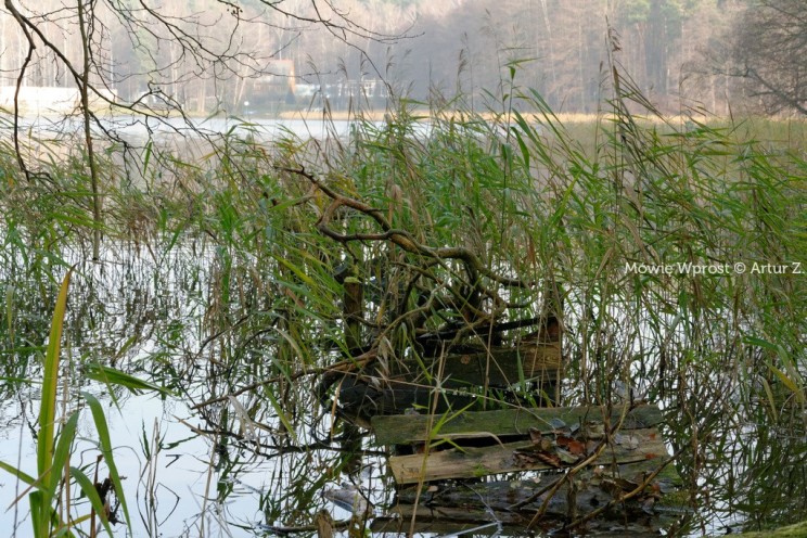 Pan Artur - Winter is coming, ale jeszcze nie teraz :)