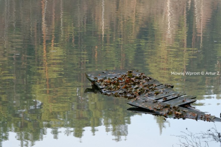 Pan Artur - Winter is coming, ale jeszcze nie teraz :)