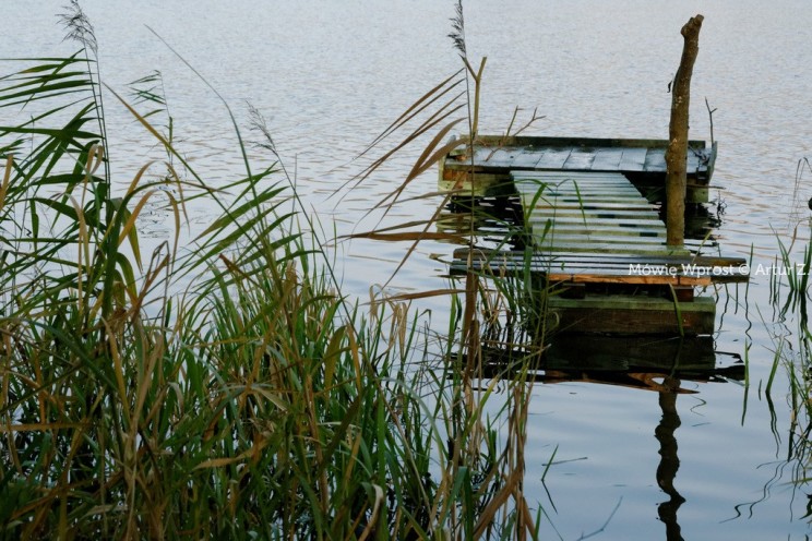 Pan Artur - Winter is coming, ale jeszcze nie teraz :)