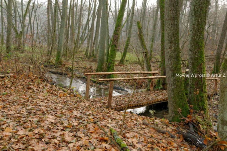 Pan Artur - Winter is coming, ale jeszcze nie teraz :)