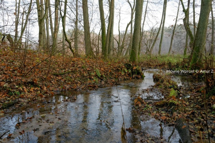 Pan Artur - Winter is coming, ale jeszcze nie teraz :)