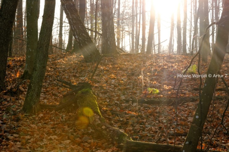 Koniec grudnia, czas na małe podsumowanie... 10 Pan Artur - Koniec grudnia, czas na małe podsumowanie...