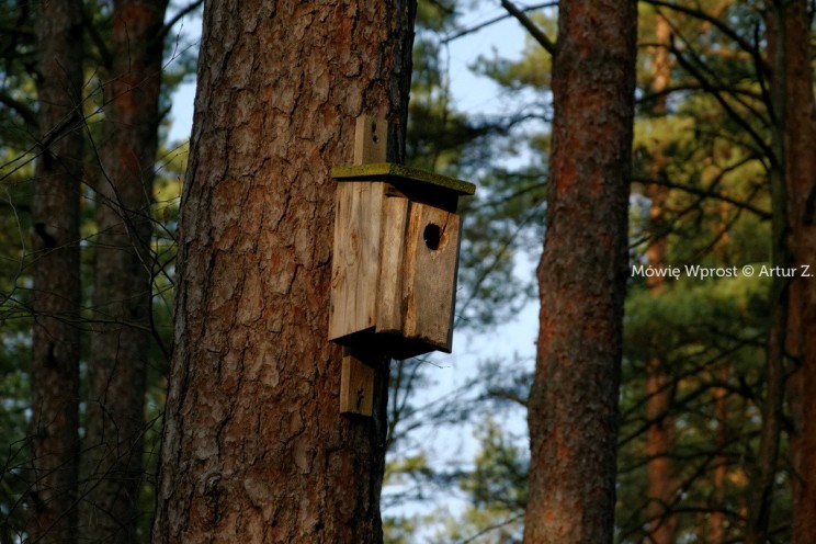 Pan Artur - Winter is coming, ale jeszcze nie teraz :)