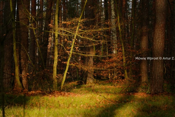 Koniec grudnia, czas na małe podsumowanie... 9 Pan Artur - Koniec grudnia, czas na małe podsumowanie...