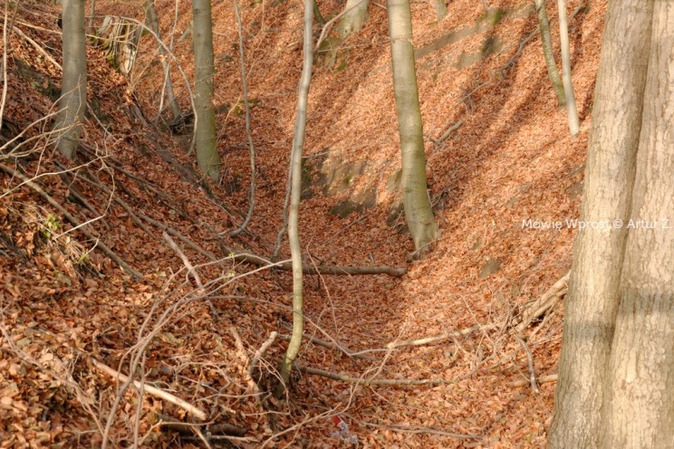 Pan Artur - Winter is coming, ale jeszcze nie teraz :)