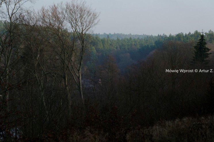 Pan Artur - Winter is coming, ale jeszcze nie teraz :)