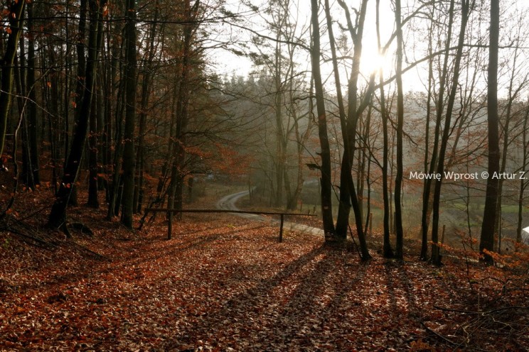 Pan Artur - Winter is coming, ale jeszcze nie teraz :)