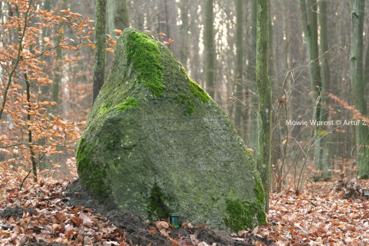 Pan Artur - Winter is coming, ale jeszcze nie teraz :)