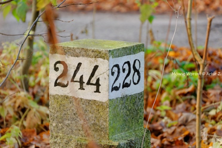 Pan Artur - Winter is coming, ale jeszcze nie teraz :)