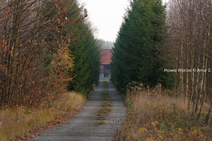 Pan Artur - Winter is coming, ale jeszcze nie teraz :)