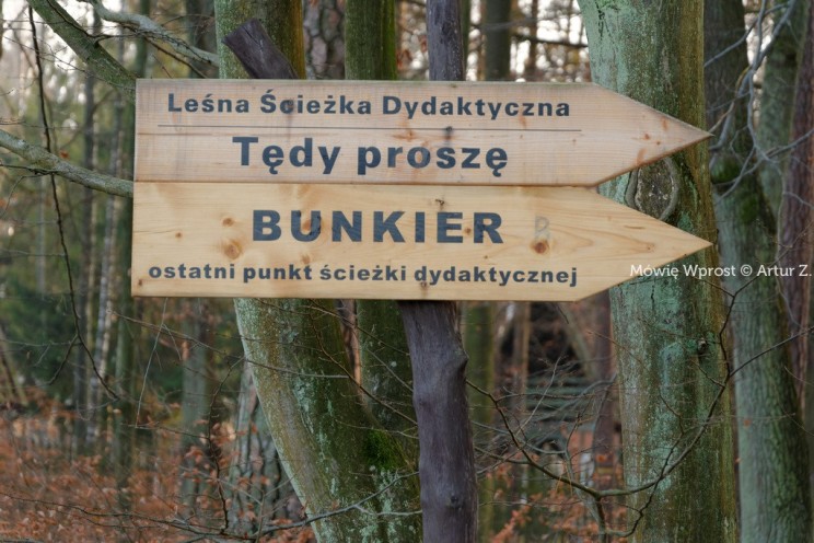 Pan Artur - Winter is coming, ale jeszcze nie teraz :)