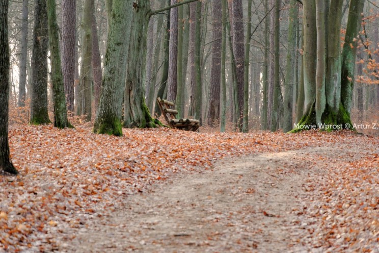 Pan Artur - Winter is coming, ale jeszcze nie teraz :)