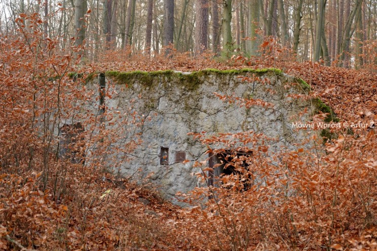 Pan Artur - Winter is coming, ale jeszcze nie teraz :)