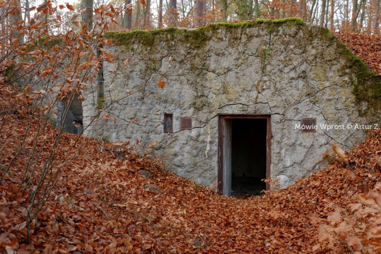 Pan Artur - Winter is coming, ale jeszcze nie teraz :)