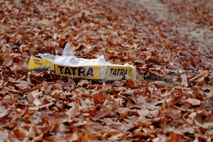 Pan Artur - Winter is coming, ale jeszcze nie teraz :)