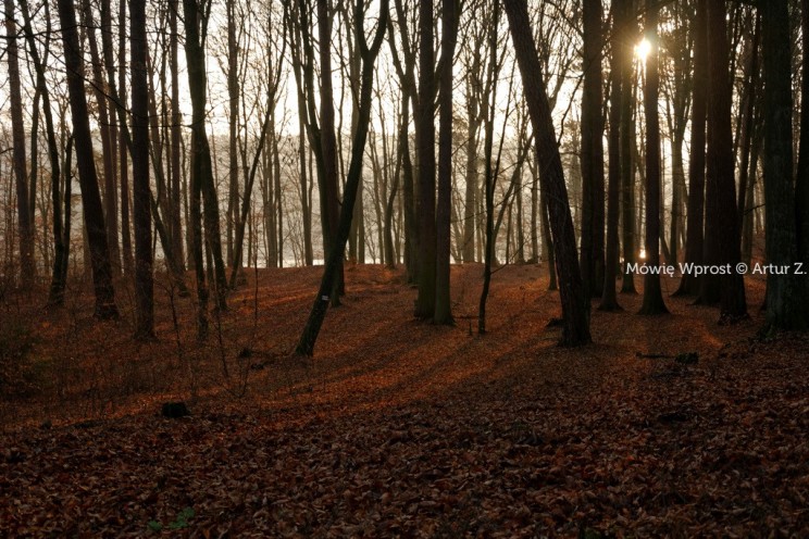 Pan Artur - Winter is coming, ale jeszcze nie teraz :)