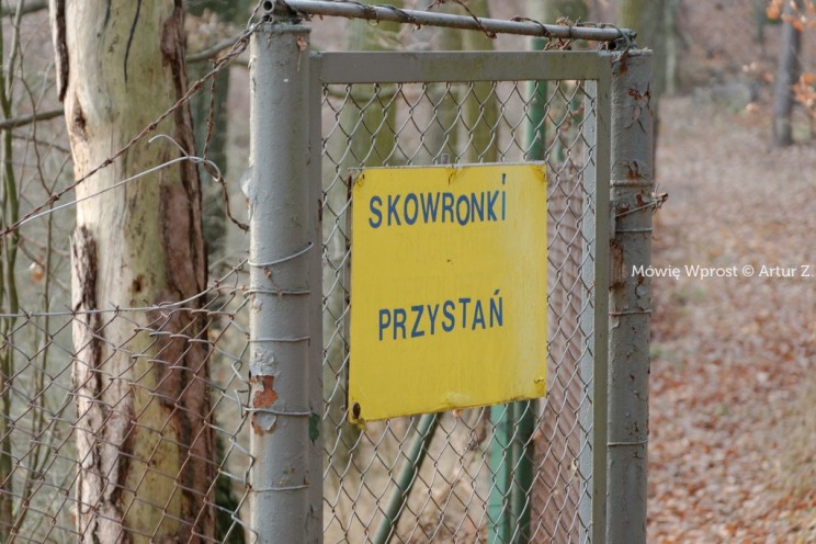 Pan Artur - Winter is coming, ale jeszcze nie teraz :)