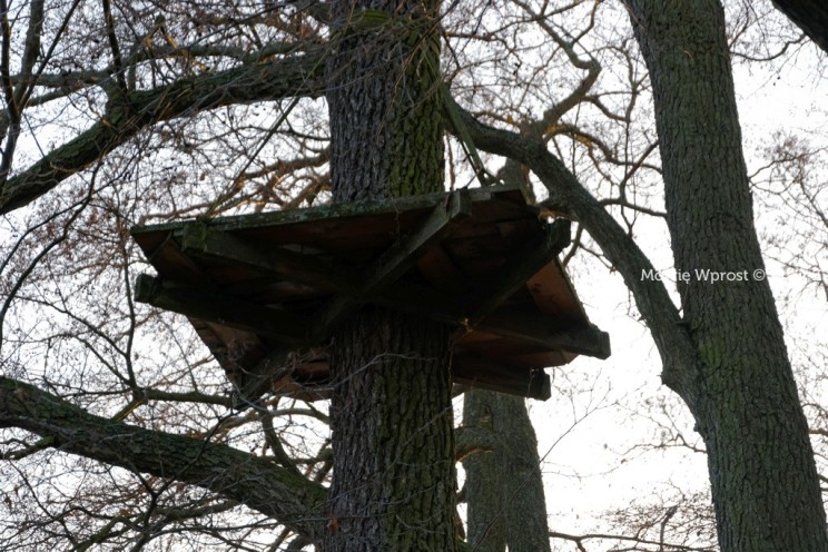 Pan Artur - Winter is coming, ale jeszcze nie teraz :)