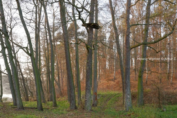 Pan Artur - Winter is coming, ale jeszcze nie teraz :)