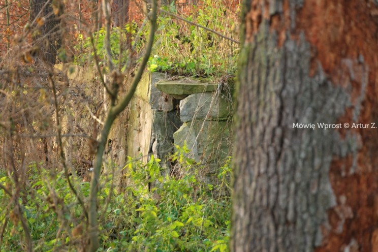 Pan Artur - Winter is coming, ale jeszcze nie teraz :)