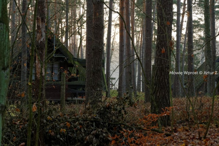 Pan Artur - Winter is coming, ale jeszcze nie teraz :)