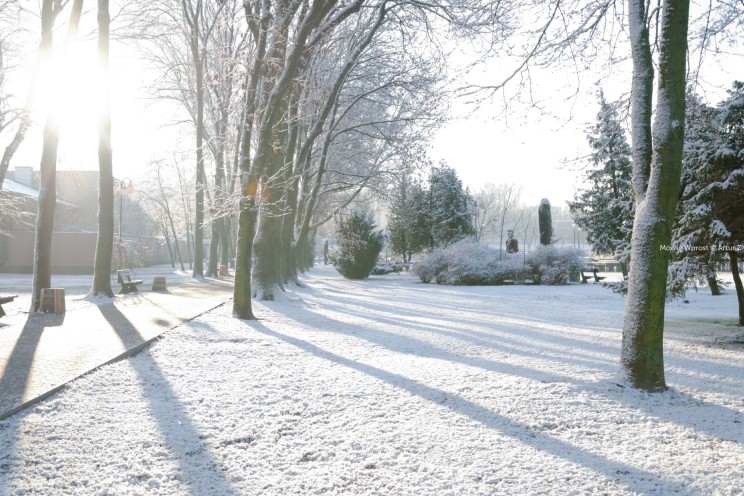 Pan Artur - Białe "szaleństwo" ;) Ostróda zimą