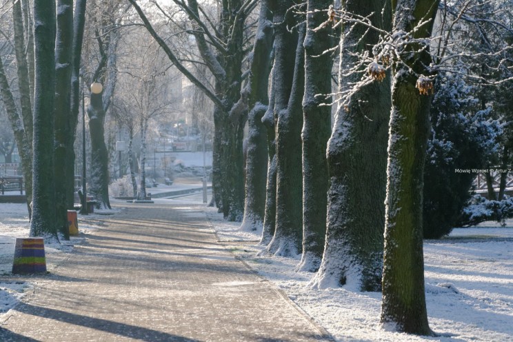 Pan Artur - Białe "szaleństwo" ;) Ostróda zimą