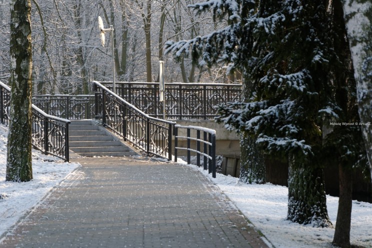 Pan Artur - Białe "szaleństwo" ;) Ostróda zimą