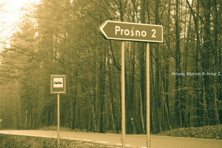 Pan Artur - Prośno, piękna leśna osada