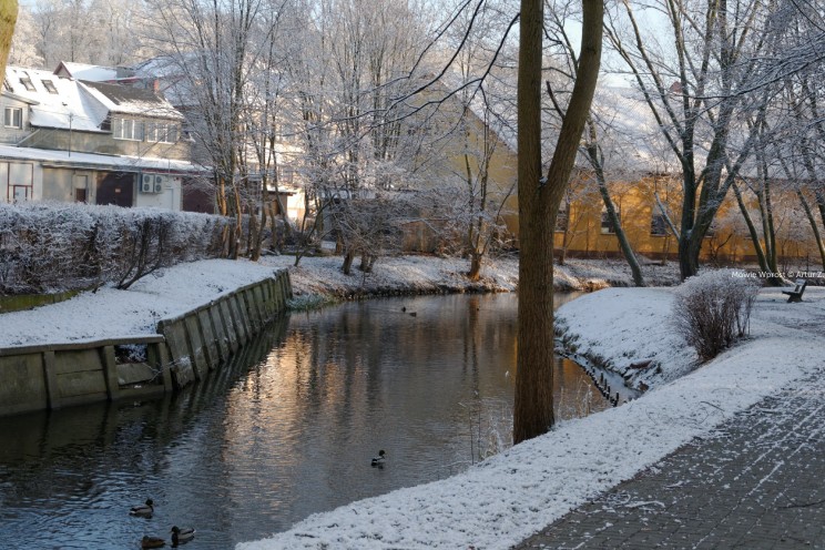 Pan Artur - Białe "szaleństwo" ;) Ostróda zimą