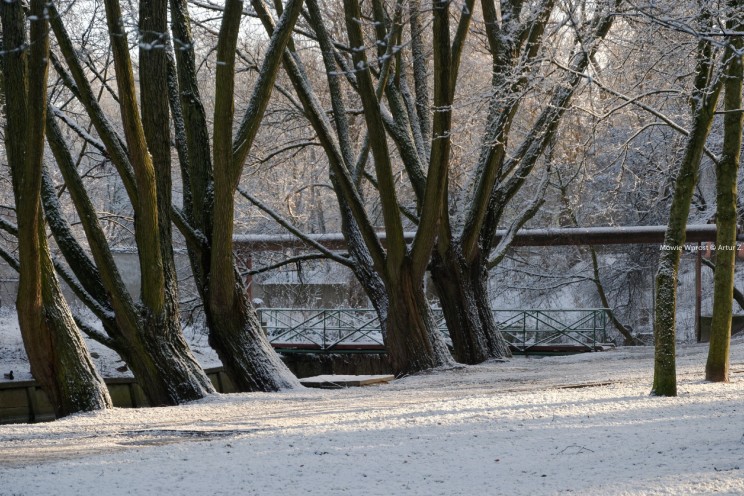 Pan Artur - Białe "szaleństwo" ;) Ostróda zimą