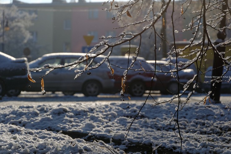Pan Artur - Białe "szaleństwo" ;) Ostróda zimą
