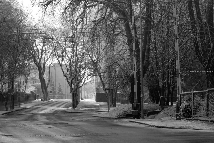 Pan Artur - Białe "szaleństwo" ;) Ostróda zimą